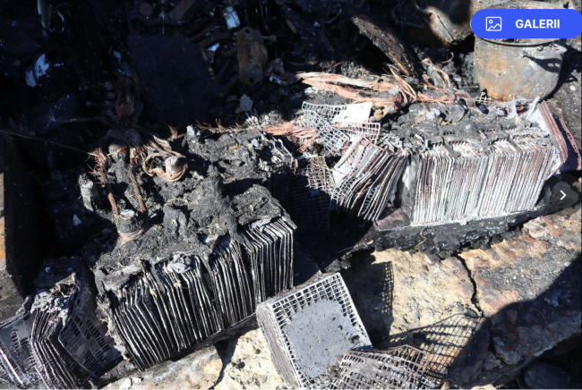 Viimsi PLIIAKU PLAHVATUS.png