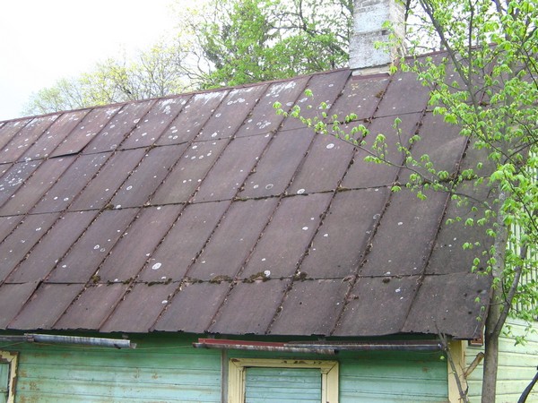 Katmata pinnakihiga valtskatus.JPG