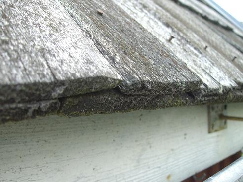 Naeladki ei salli vana õli