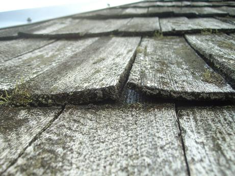 aga samblale maitseb