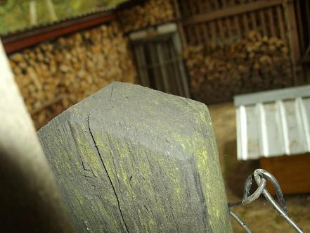 Vana aiapost uues kohas.