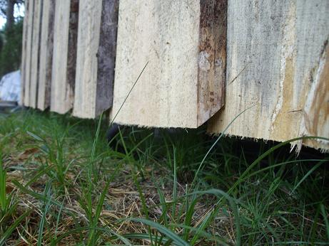 Vesi tilgub maha otsa pealt.