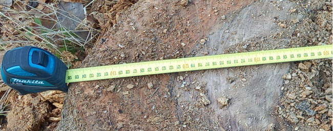 1350mm_.jpg