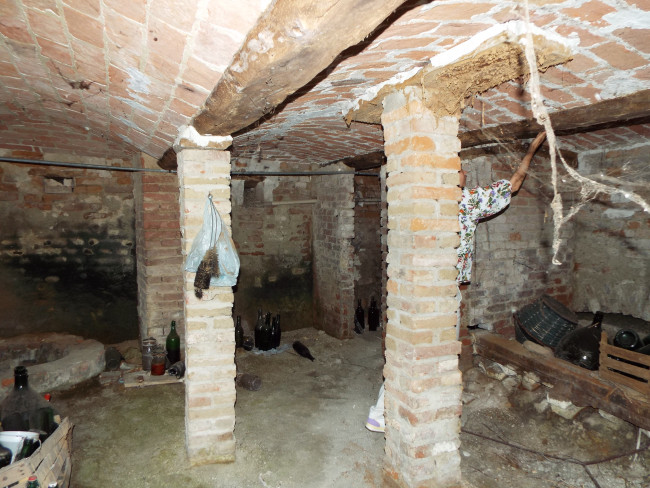 DSCF9676.JPG