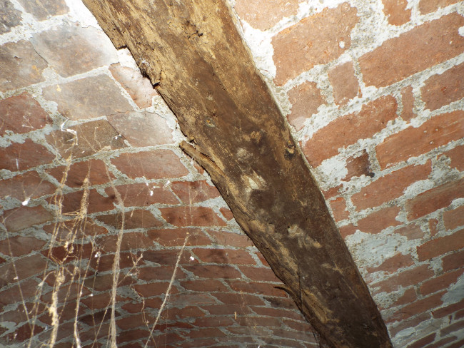 DSCF9677.JPG