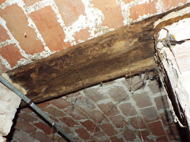 DSCF9679.JPG
