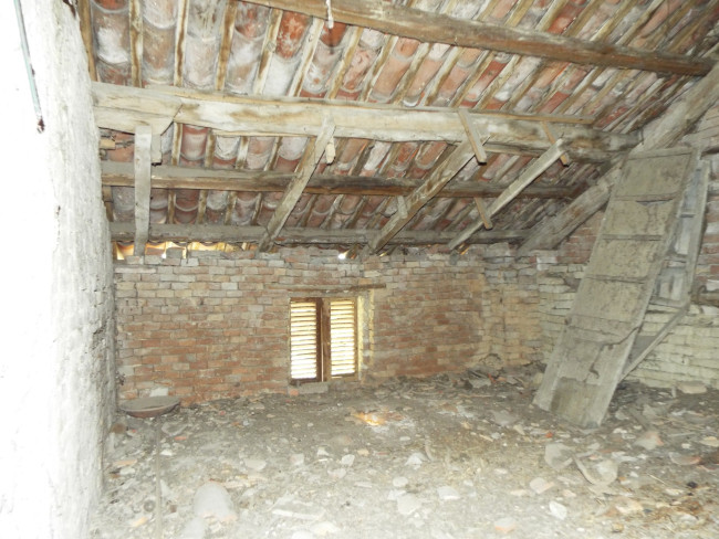 DSCF9689.JPG