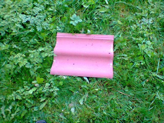 Foto0103.jpg