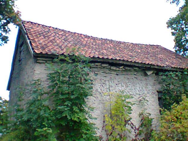 Foto0104.jpg