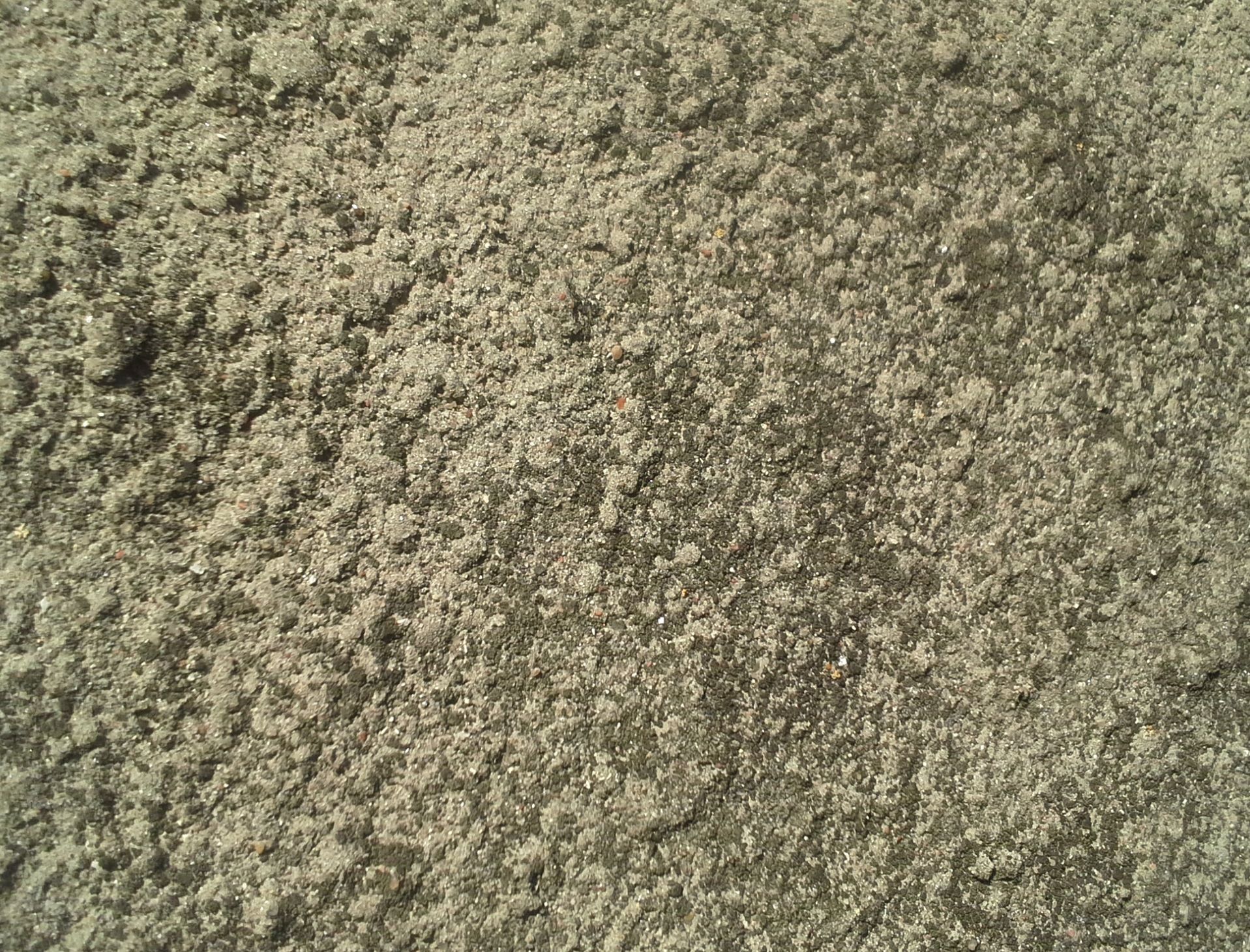 20160520_090607.jpg