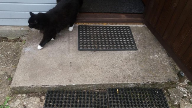 20170818_163952.jpg (107.81 KiB) Vaadatud 4338 korda Lisasin praegusest astmest pildi.Kass ei vaja tuunimist :-)